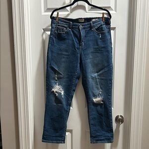 Wonderly Blue Girlfriend Jeans with Distressed Accents